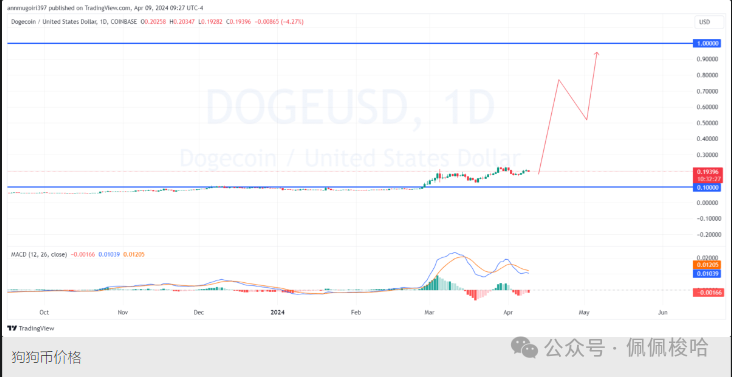 比特币减半后狗狗币(DOGE)价格能否达到 1 美元？