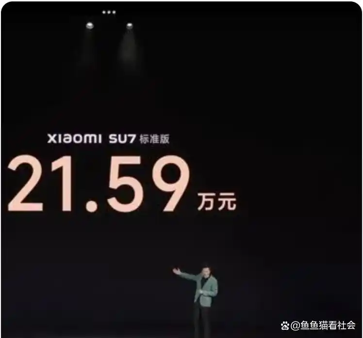 楚辞体的影响和地位_雷军在互联网圈的地位_雷军的行业影响力与地位