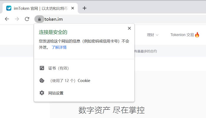 如何在token钱包官网下载后使用区块链工具，助您更好地管理和分析资产。_区块链钱包从入门到精通_区块链钱包助记词怎么找回