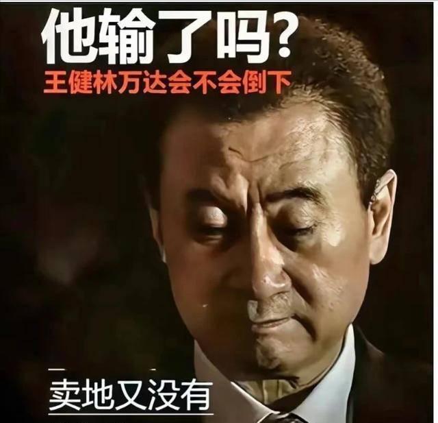 王健林财富缩水_王健林投资1500亿_王健林的财富管理与投资智慧