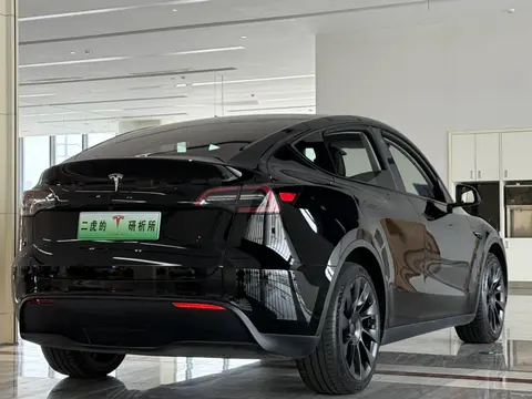 特斯拉智能叫什么_特斯拉智能车_特斯拉Model Y：智能出行的新标杆