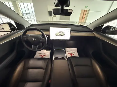 特斯拉智能车_特斯拉智能叫什么_特斯拉Model Y：智能出行的新标杆