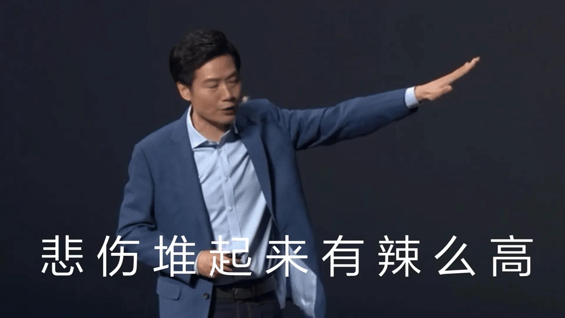 小米广泛基础手机用户登录_小米手机的用户基础为何如此广泛？_小米手机用户群体
